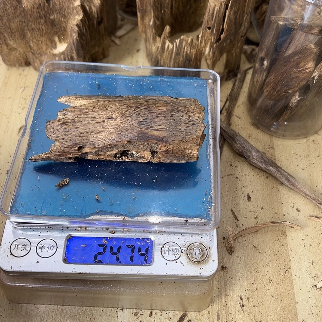 香料绿奇楠虫漏24克白棋