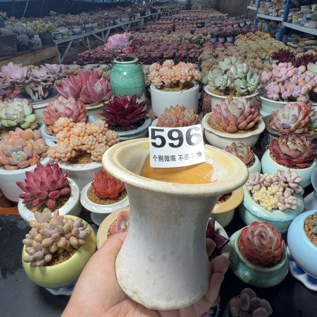 特价花盆满50发货内口8.5