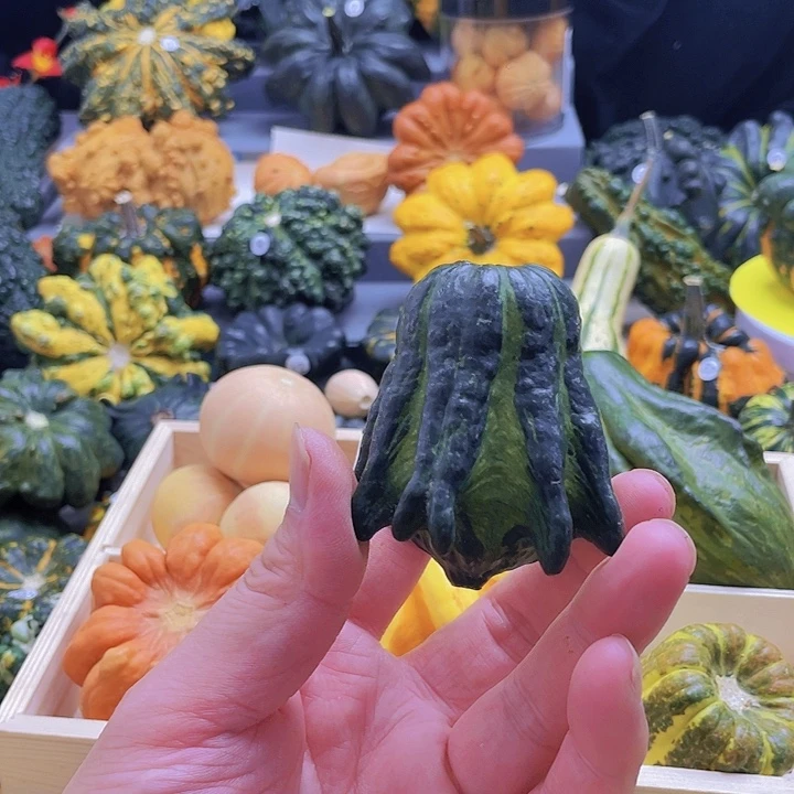 慈***心墨西哥七彩哥的葫芦