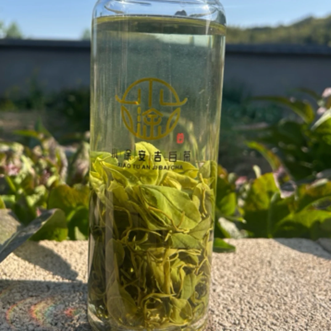 A07（13/4）2025年安吉白茶谷雨茶原产地兰花香孝源