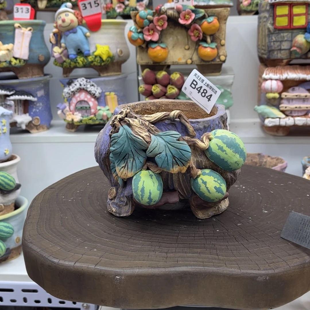 花盆484白狐花盆活动