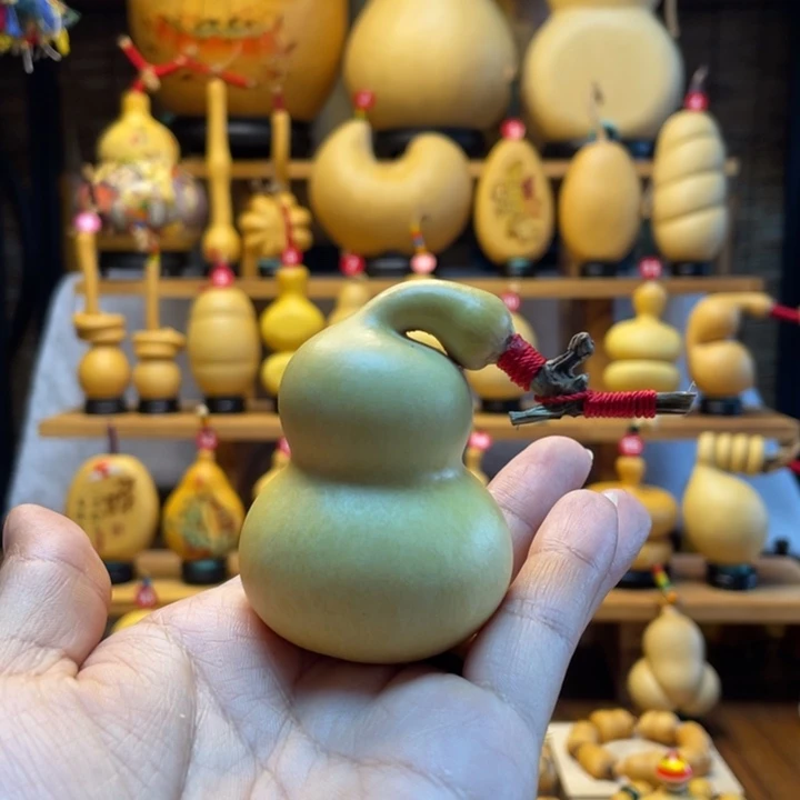 池***猛天然葫芦自然生长