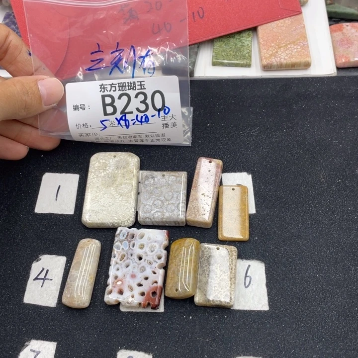 硅化珊瑚(珊瑚玉)颈饰合金立**