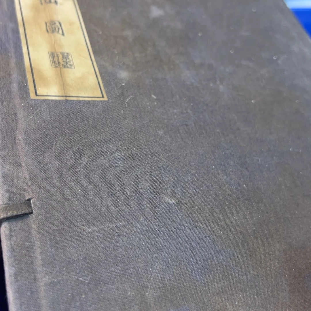 茶宠哈哈哈哈哈哈哈哈哈哈哈