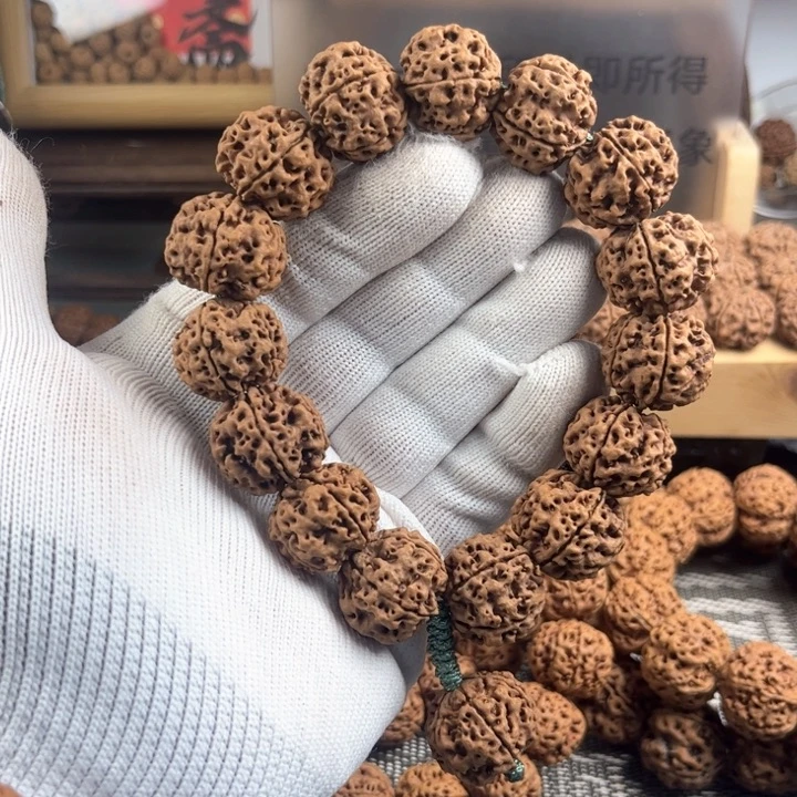 金刚菩提手串猫****╲古龙粗筋梅花4