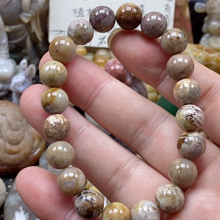 硅化珊瑚（珊瑚玉）颈饰未镶嵌吃****