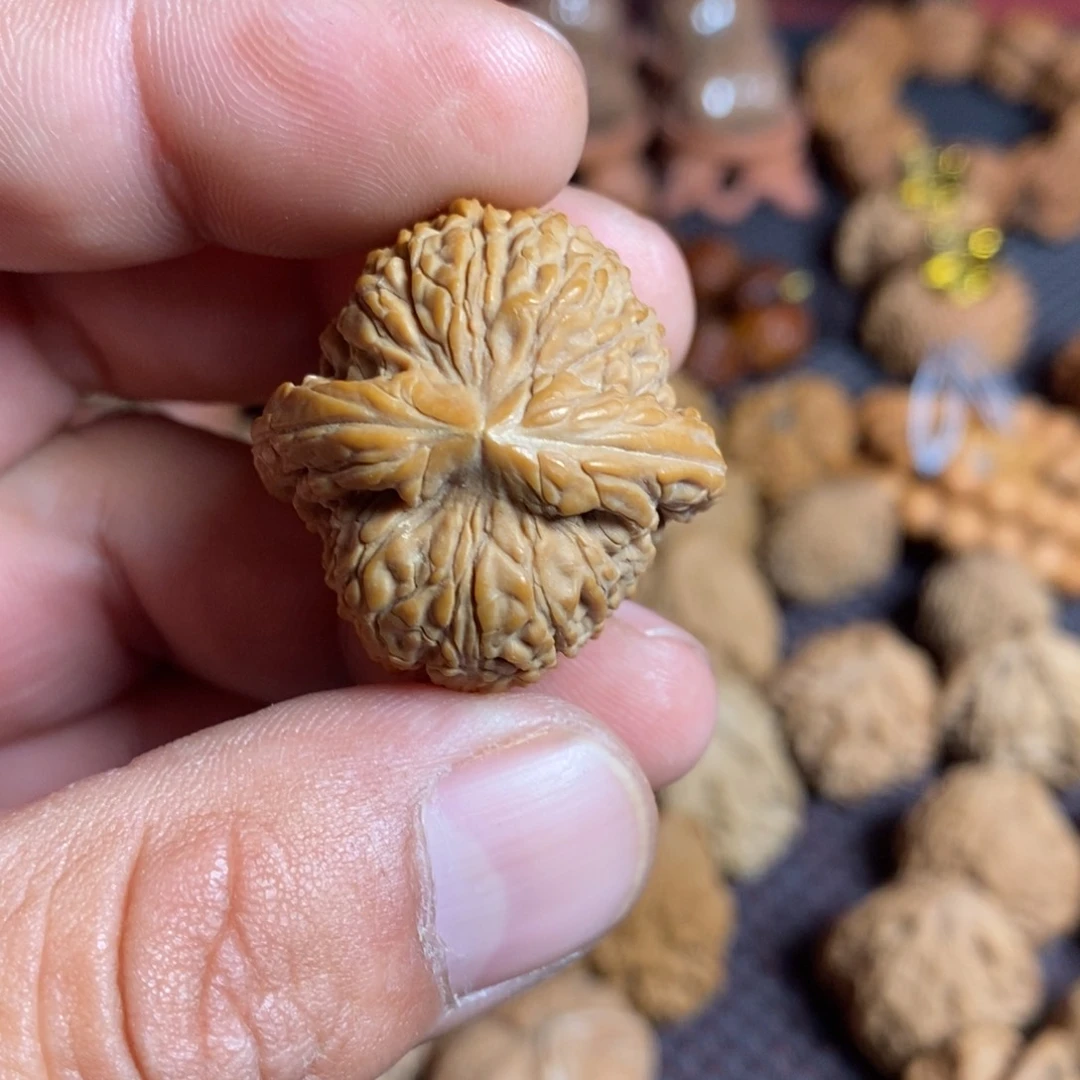 文玩核桃把件伽*雨