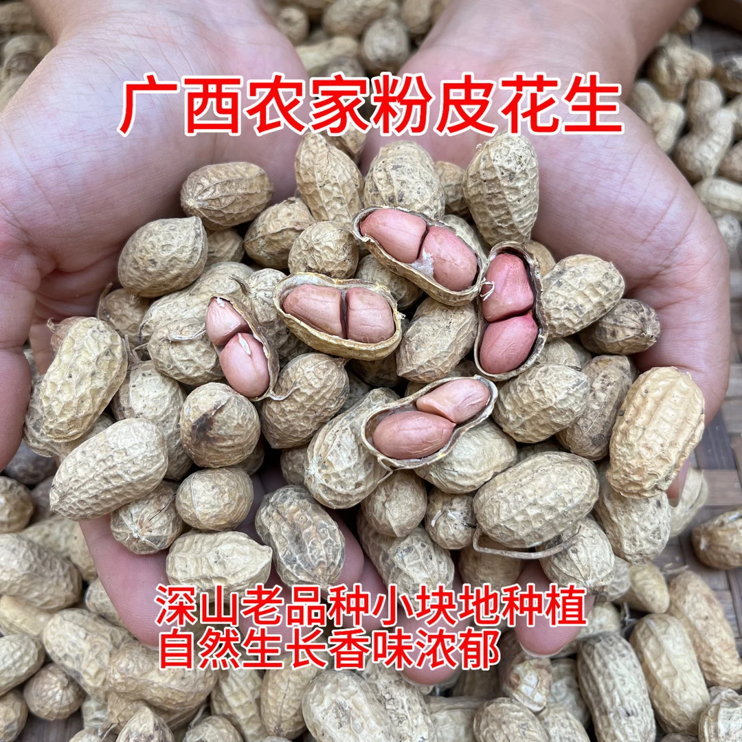 2025年晒干新花生广西小粒粉皮花生老品种自然生长农家小块地种植