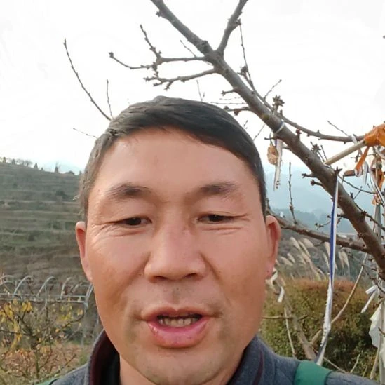 ****见完全开放一物一拍