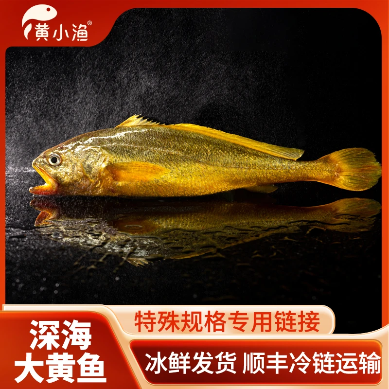 2斤/条一箱深海有机大黄鱼深夜捕捞冰鲜黄花鱼源头厂家直发