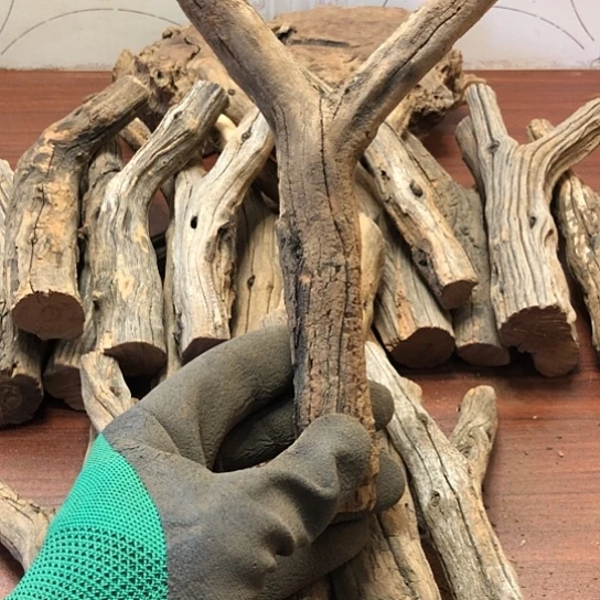 大果紫檀（缅甸花梨）尛*斗