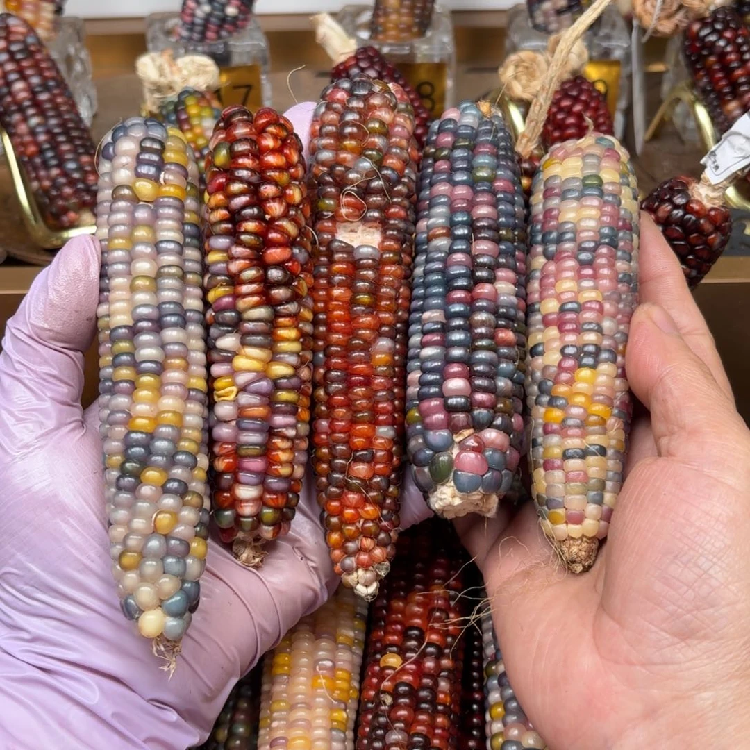 柏香籽/百香籽吊坠灵*