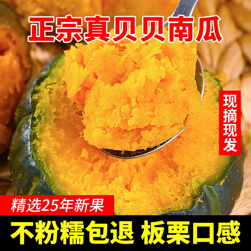 新鲜采摘云南高山种植贝贝南瓜粉糯香甜板栗味适合宝宝辅食