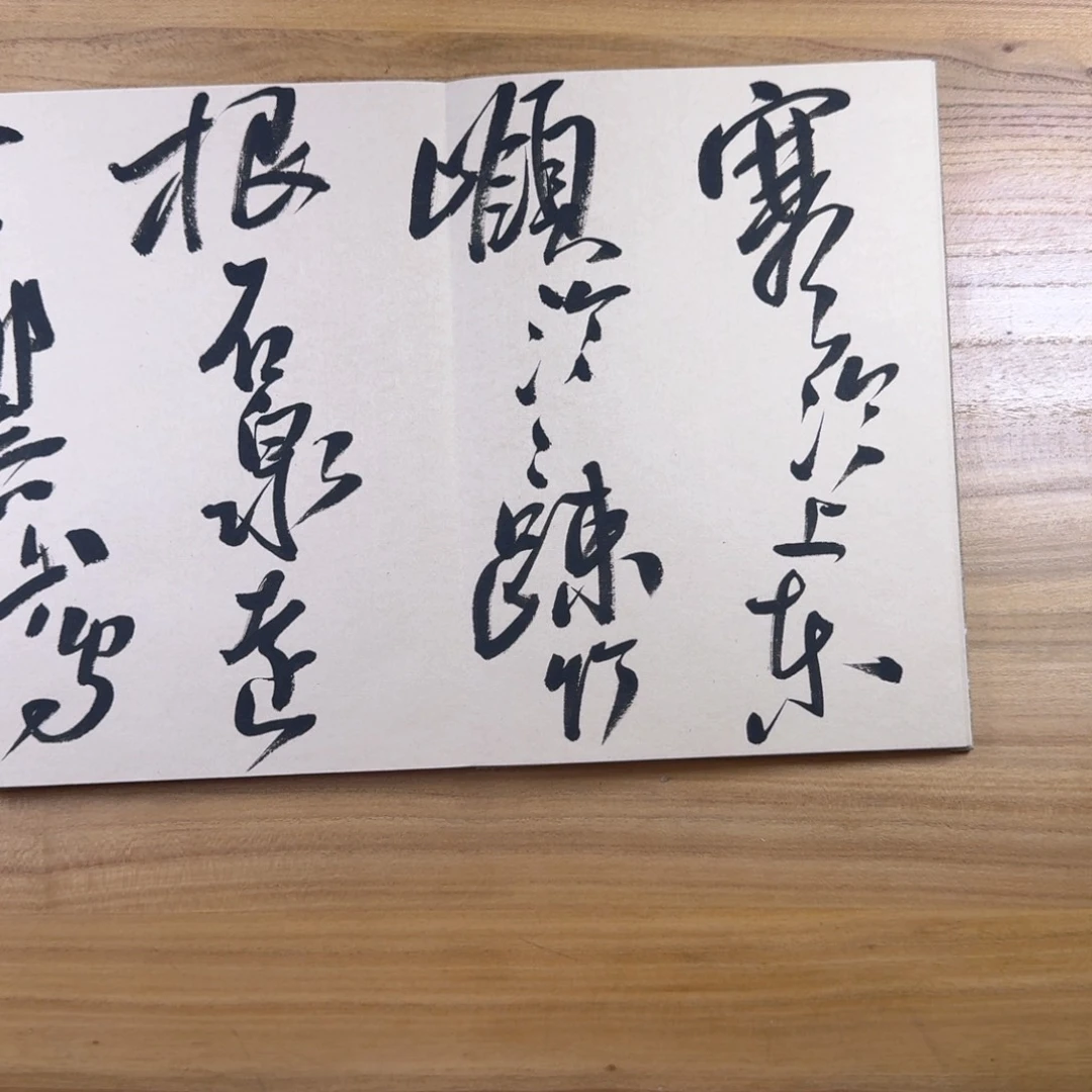 书法中书协老师作品