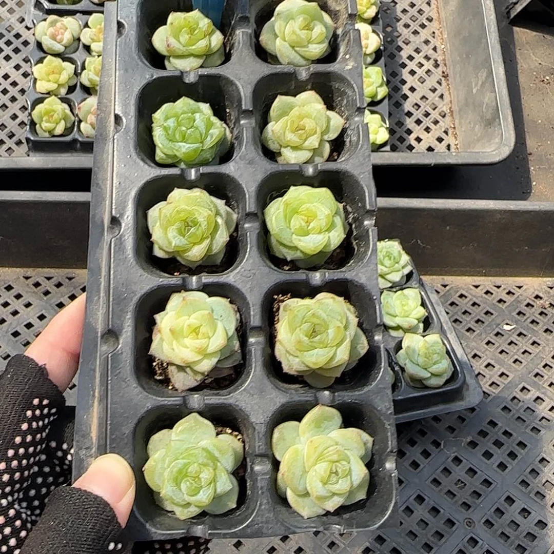 112哈哈哈哈哈哈哈哈哈哈