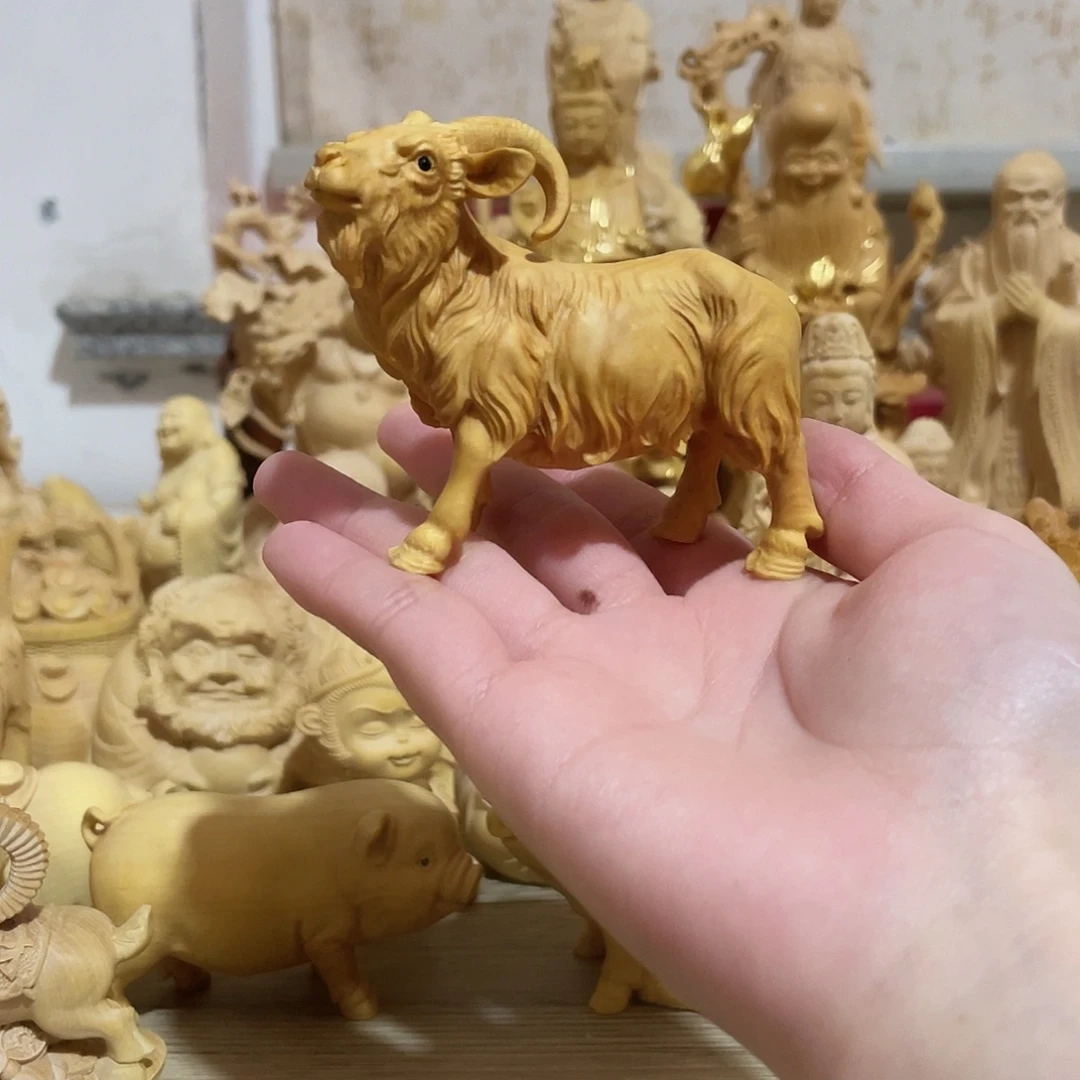 常***有黄杨木小叶黄杨木羊黑点