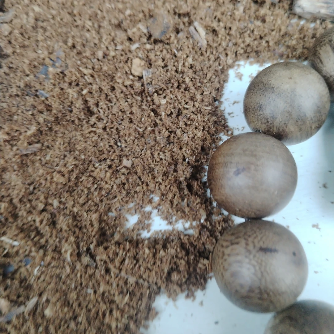 沉香奇楠沉香碎屑原料熏香2.0  21