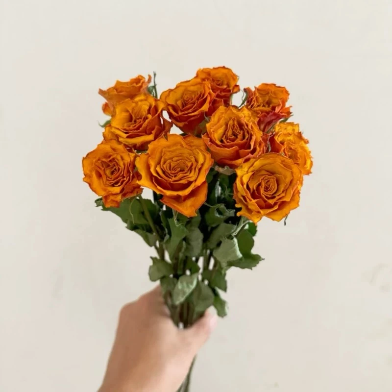【单头玫瑰干花】干花真花风干ins网红相框花材复古风家居装饰插花