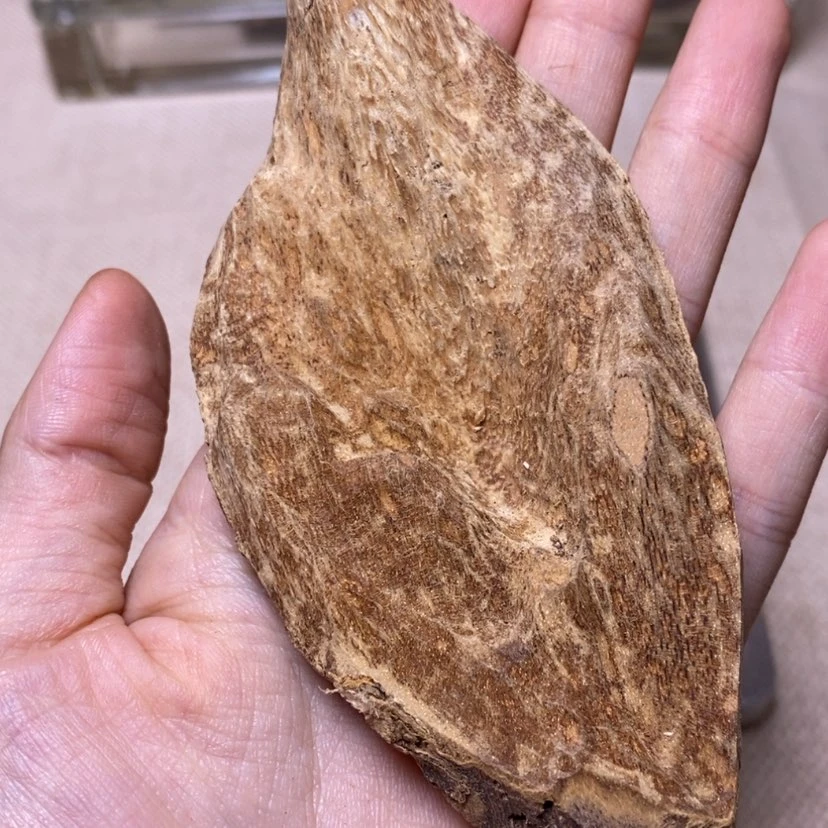 【闪购商品】海南壳子5.6克