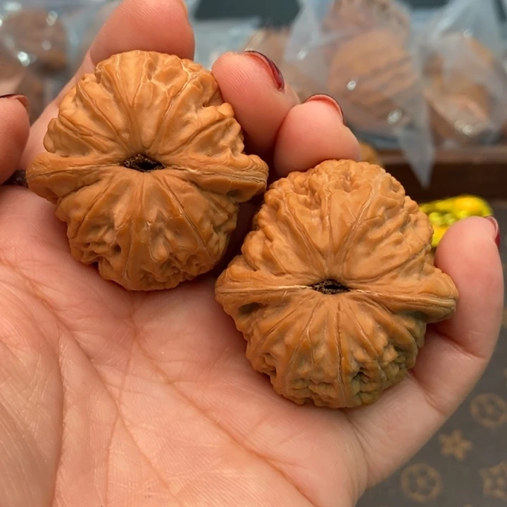 核桃元宝43尺核桃