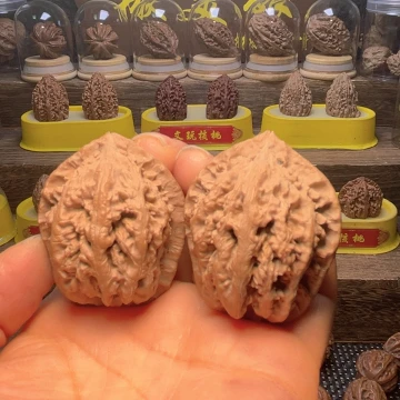 核桃23号车放漏漏漏