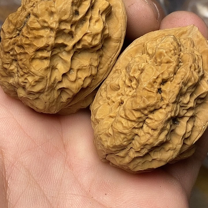 文玩核桃把件云南铁核桃26