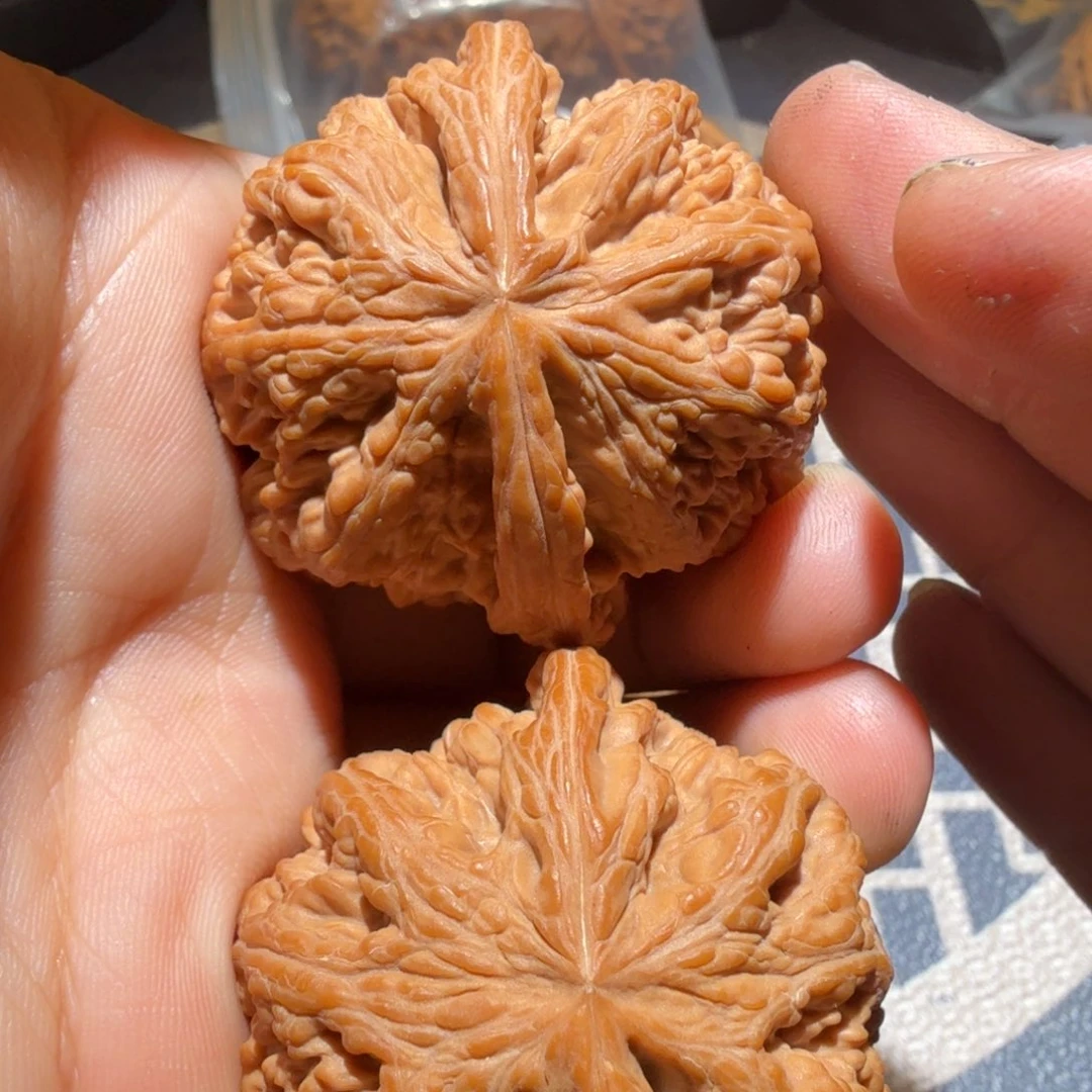 文玩核桃把件大粗筋