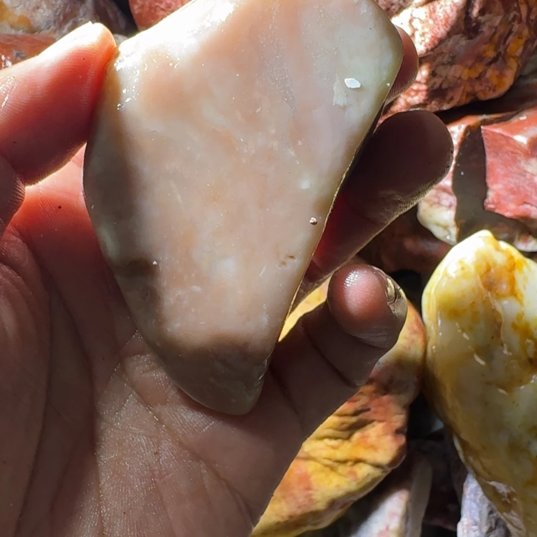 蓝***）寿山石8998899888999