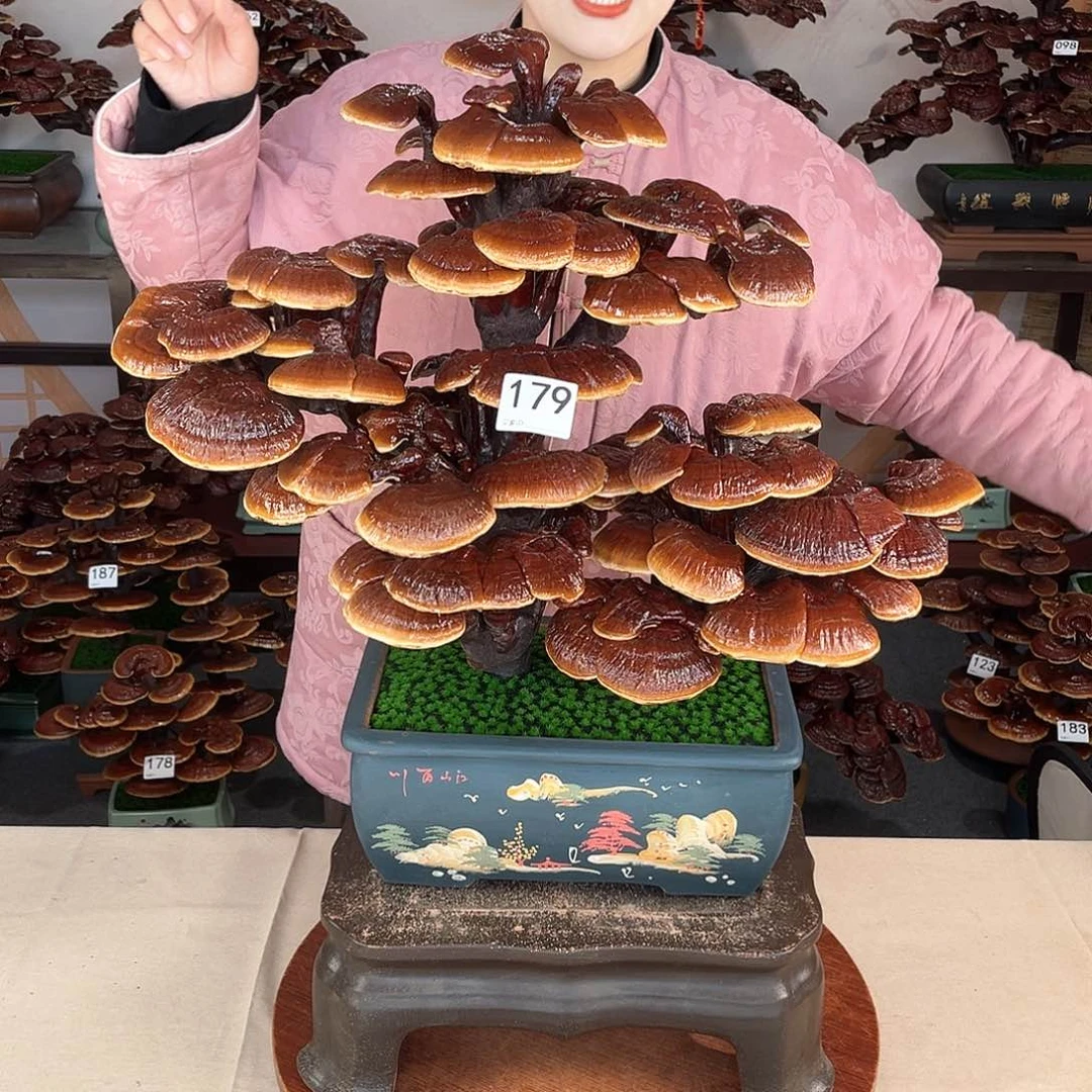 万事如意88888179