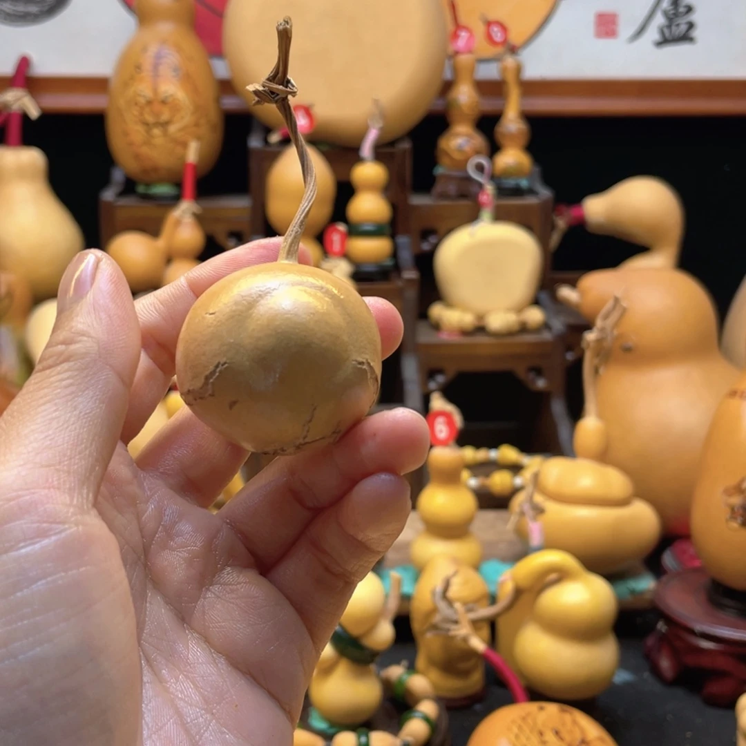 是***?大自然的秘密第十一节
