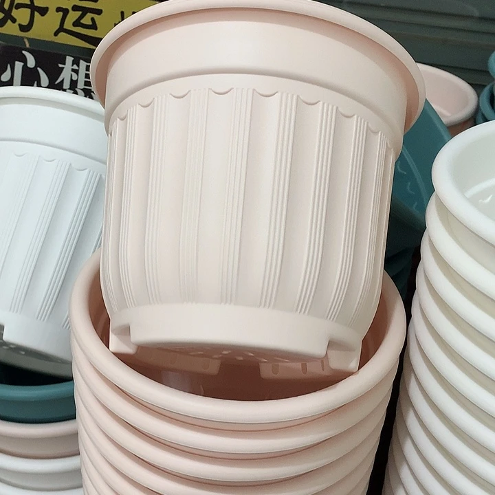 罗马口24高20粉4个