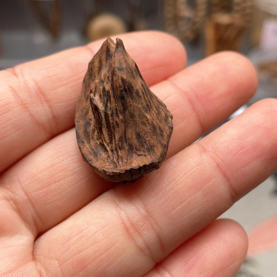 【闪购商品】沉香沉香碎屑香港老料九分包头