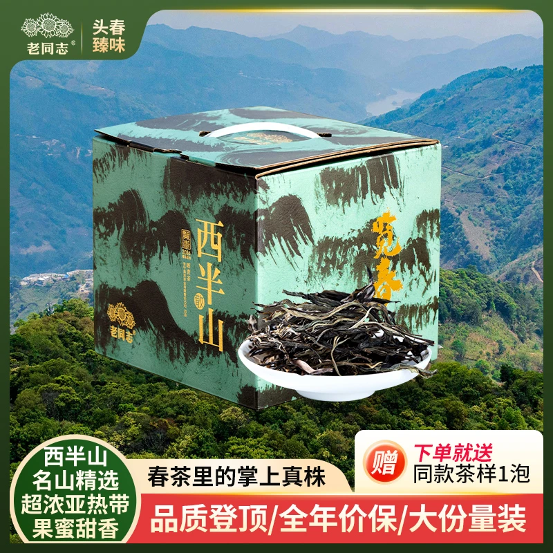 老同志普洱茶优选 2025年览春 西半山晒青茶 盒装 500克