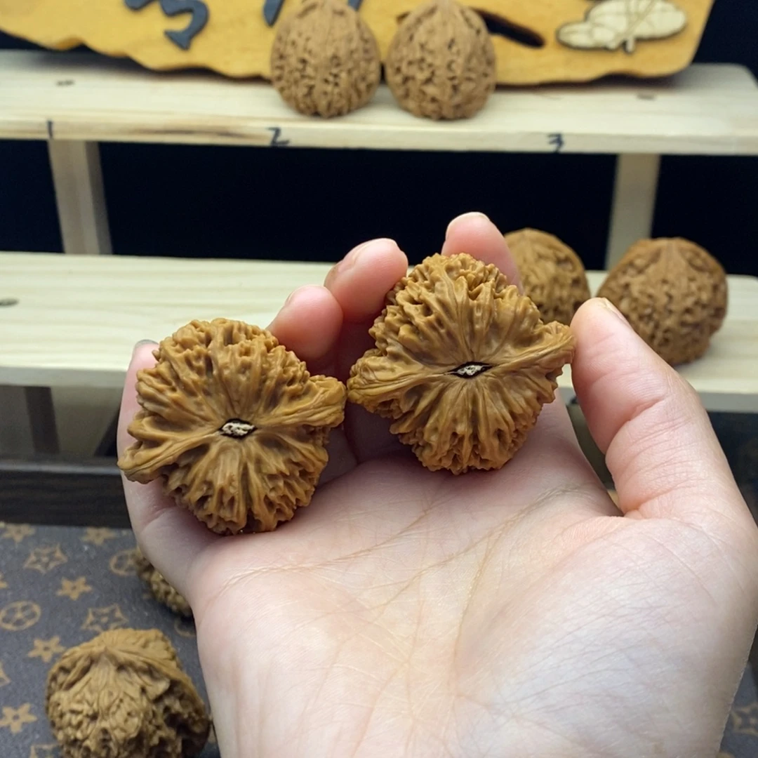 光***大吊坠柏香籽/百香籽涿鹿一代老树南将