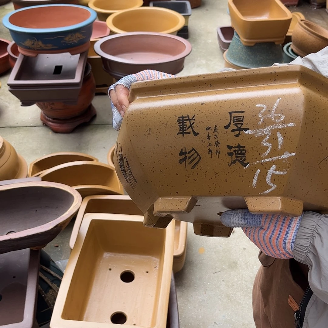 紫砂花盆盆景艺术