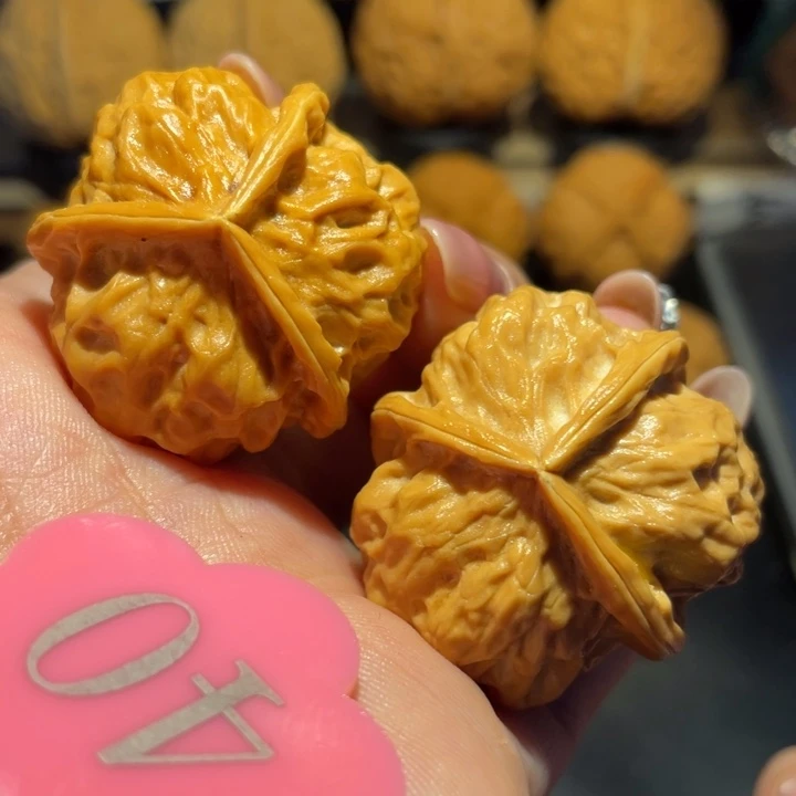 龙骨三棱核桃尺寸35