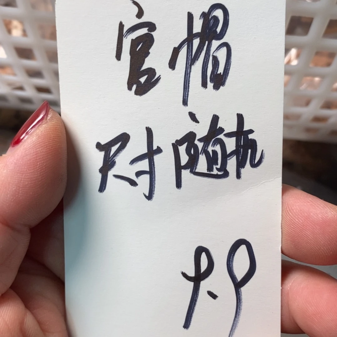 文玩核桃吊坠核桃