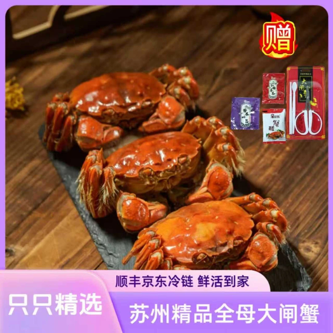 【活蟹】苏州精品大闸蟹全母蟹4.1-3.7两8只+2只顺丰京东冷链发货