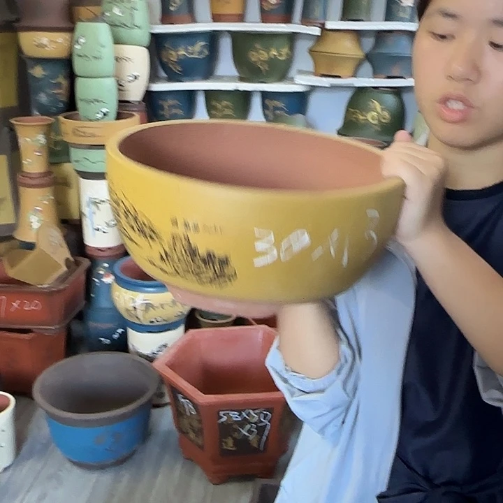 黄色江山如画大花盆花盆