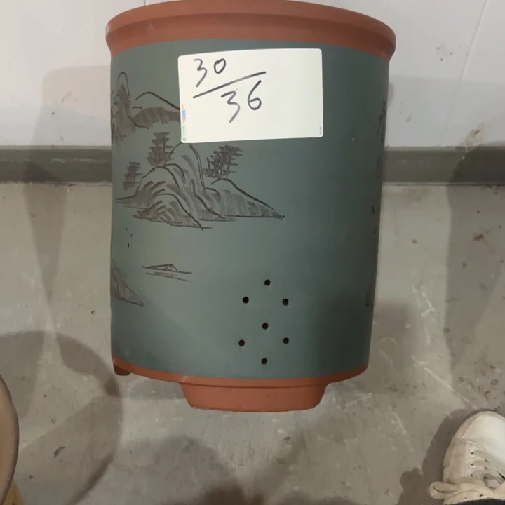 花盆紫砂紫砂的花