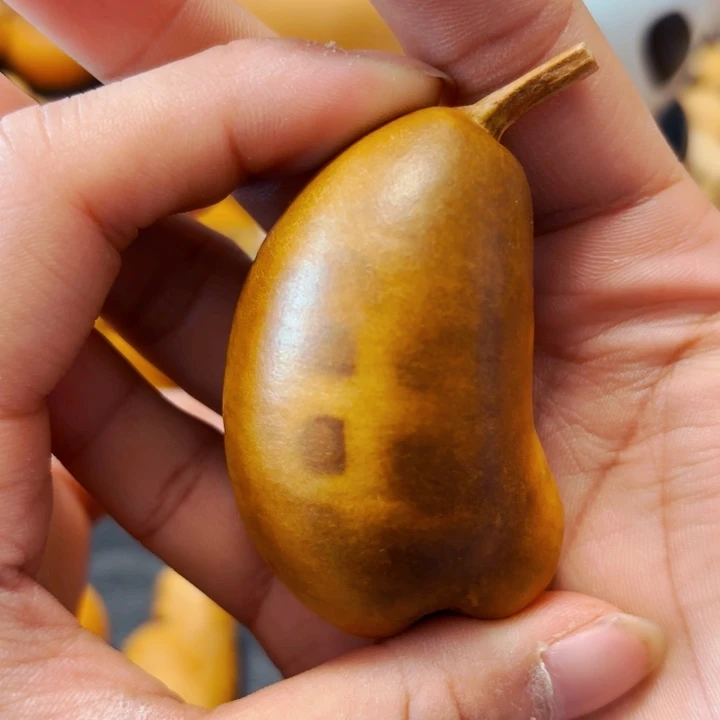 啊*…8888888888888888888