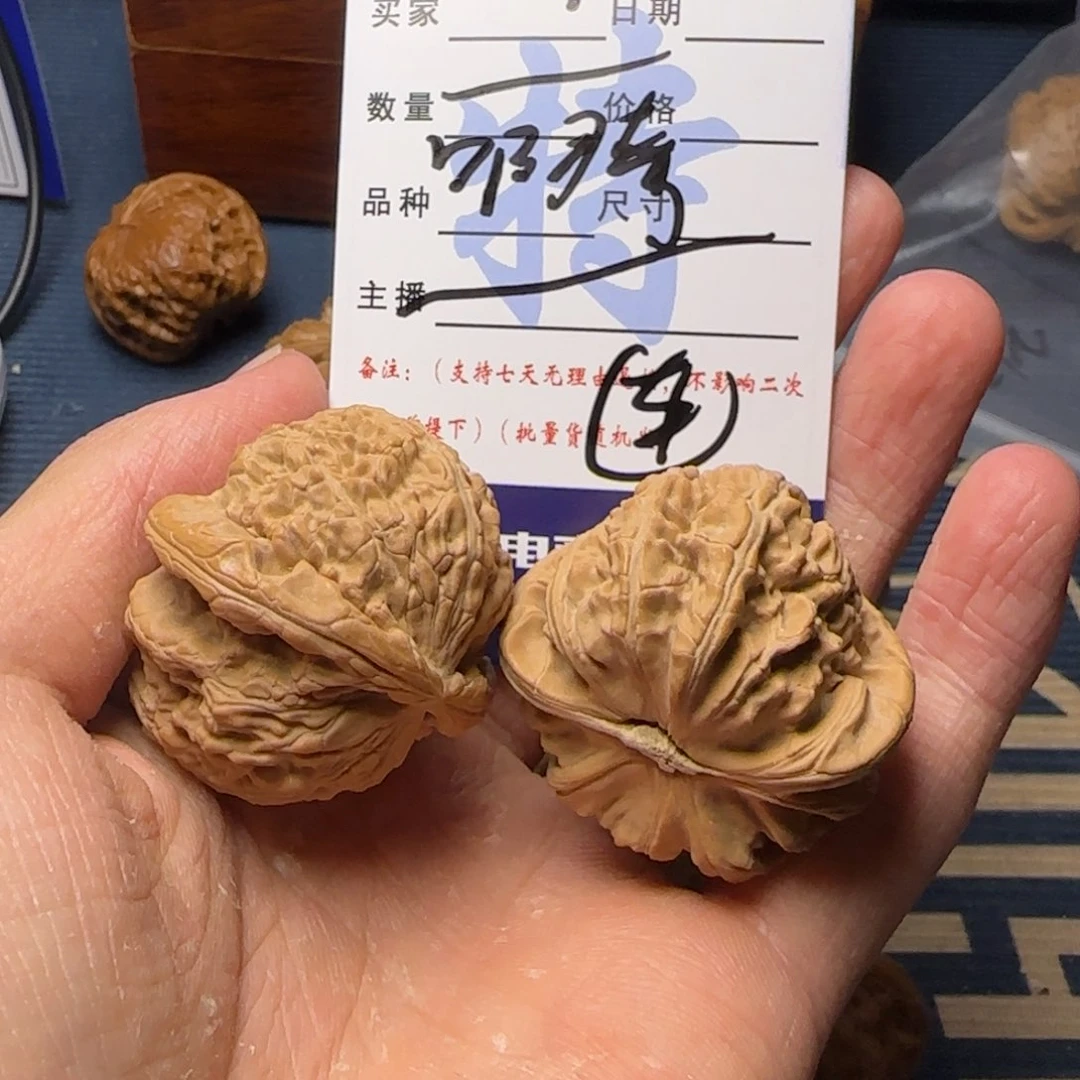 啊***虑白狮子的故事是一个人