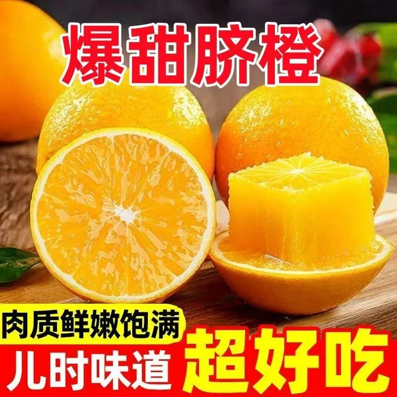 J【现摘现发】正宗脐橙皮薄肉厚多汁当季新鲜采摘发货【多仓发货】