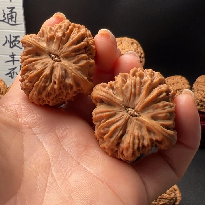 落***根15号正桩高炮南将石