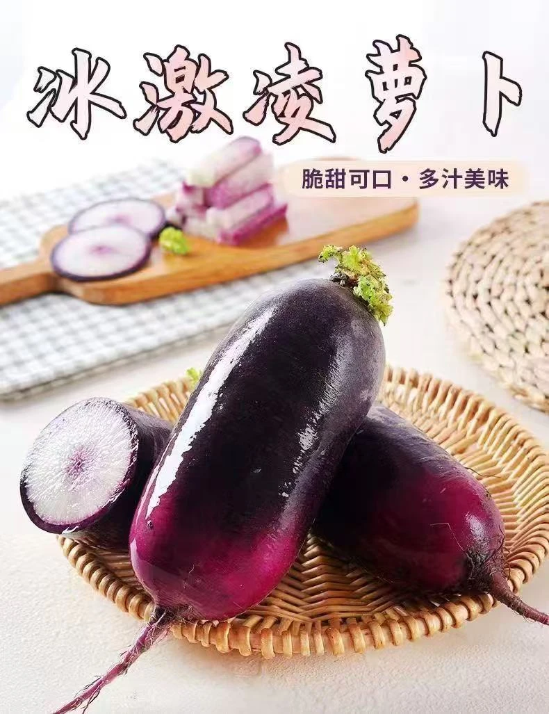 潍坊新鲜现拔冰激凌抖音萝卜不辣甜脆多汁水果萝卜原产地直发