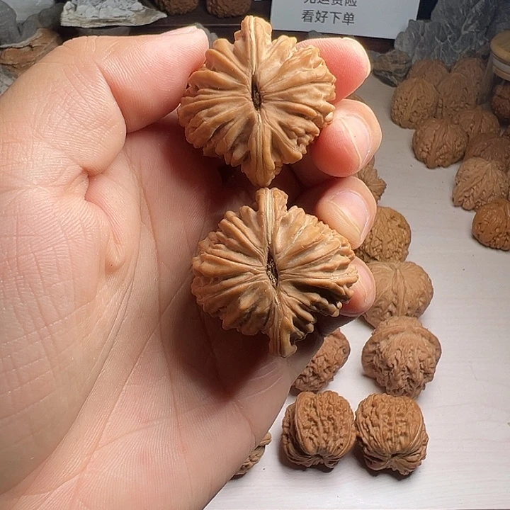 菊花底子汉高楼子