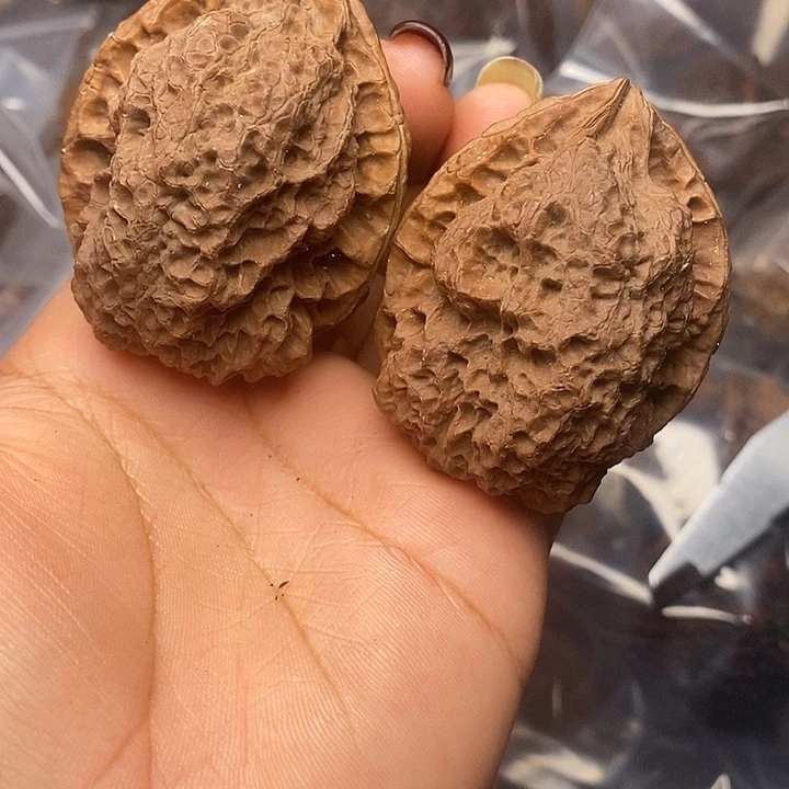 文玩核桃吊坠4号44mn