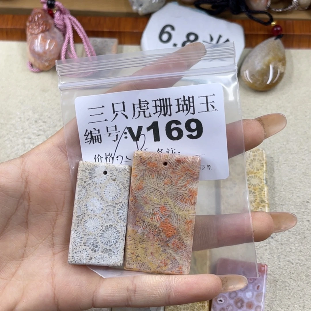 蒜***机硅化珊瑚（珊瑚玉）未镶嵌h