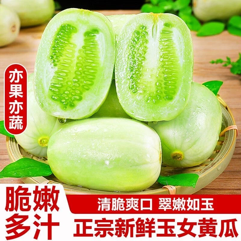 黄瓜新鲜玉女黄瓜水果小黄瓜白玉黄瓜小拇指青瓜现摘生吃蔬菜包邮