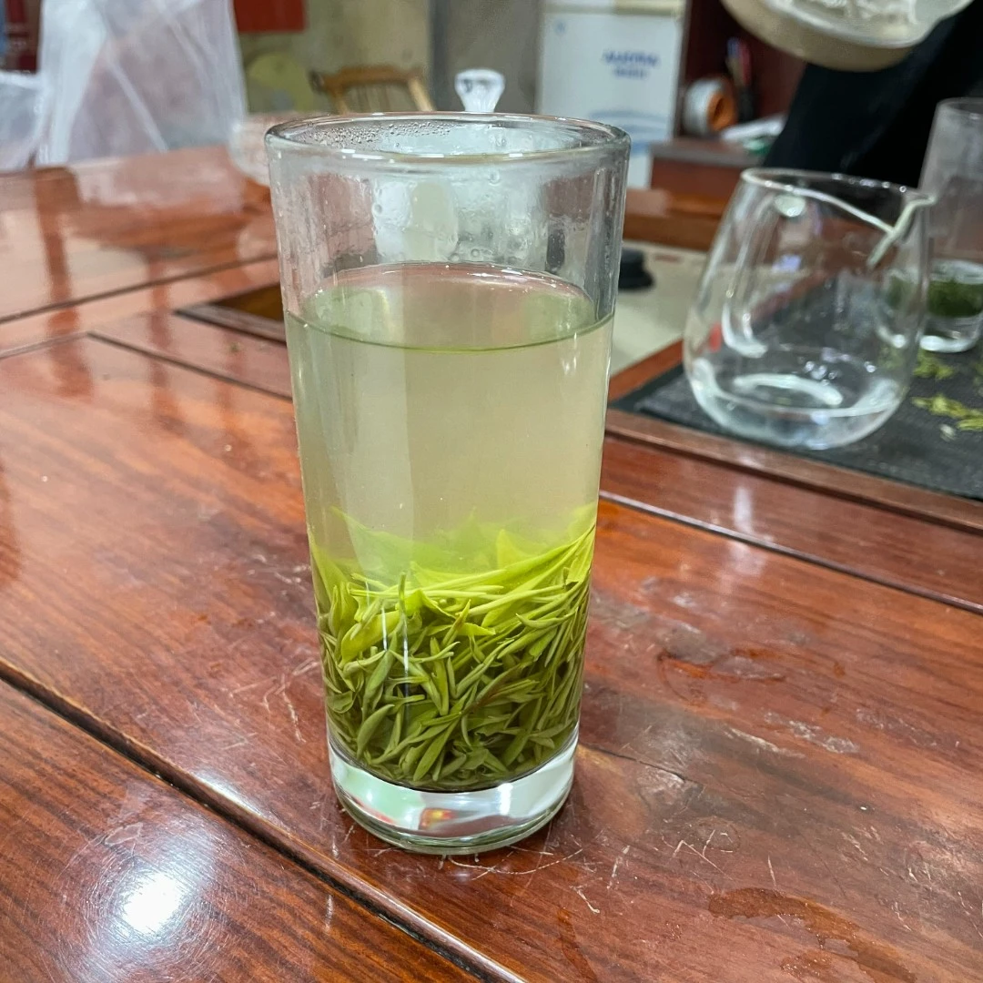 【早期嫩芽】2025新茶浓香型高山茶信阳毛尖茶厂直销原产地直发